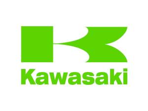 UTV Clutch Kits - Kawasaki