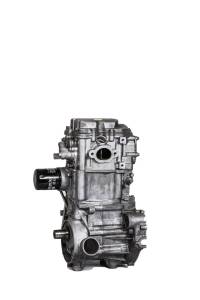 Polaris - Polaris 500 Engine