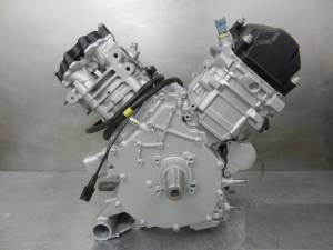 Can Am - Can Am Defender HD10 (2020-24) OEM Long Block Engine - new