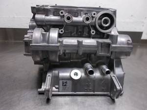 Polaris - Genuine Polaris Crankcase Kit -  1204529 / 2204636   2011/2012 900 RZR - Image 1