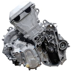 Can Am HD7 650 (2022-24) OEM Long Block Engine / motor - new 420065001